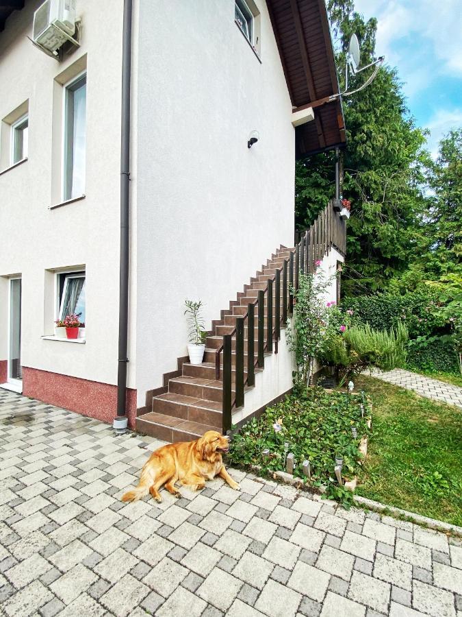 Hotel Guesthouse Stari Jasen Velika Mlaka Екстер'єр фото