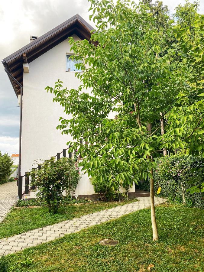 Hotel Guesthouse Stari Jasen Velika Mlaka Екстер'єр фото